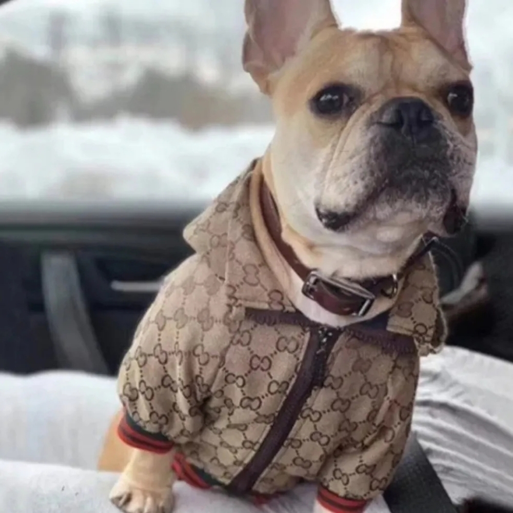 Pink, Brown, Poochi New No Tags 2 Pink 5brown Message Me Also Blu/orange Avail